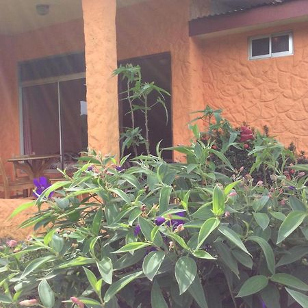 Cabinas Los Guayabos Hotel La Fortuna ภายนอก รูปภาพ